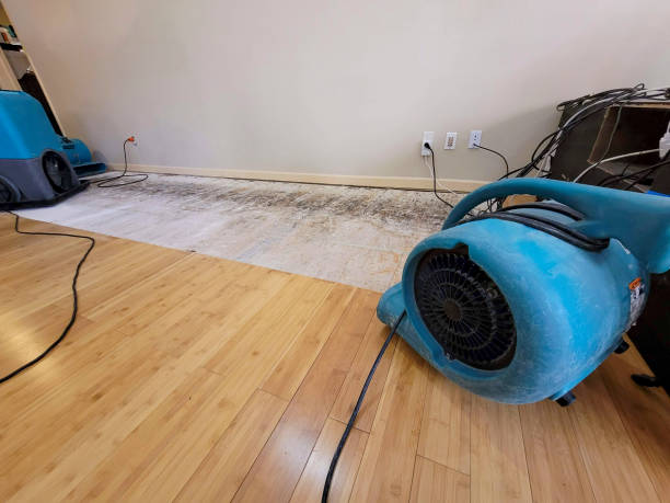 Professional Water Damage Repair technician working in Mascoutah, IL